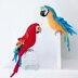 Macaw parrots