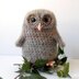 Bill The Owl Baby