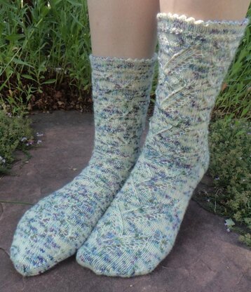 Butterfly Habitat Socks