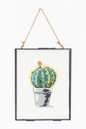 Globe Cactus in DMC - PAT0099 - Downloadable PDF