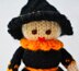 Judy the Witch Egg Cosy
