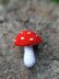 Crochet mushrooms Red Amanita and Shitake, for making key ring, car charm, toys, baby mobile