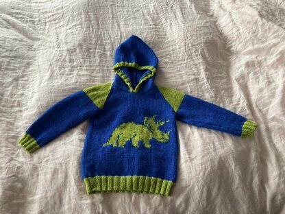 Conrad’s Dinosaur Jumper