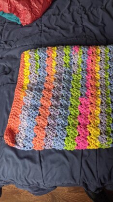 Shelly crib blanket