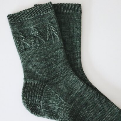 Spruce Socks