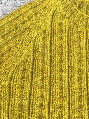 Perch Pullover
