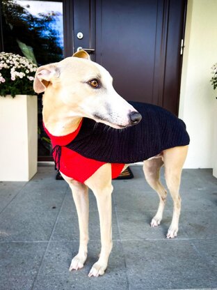 Doggo no 20 Cape