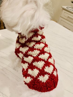 Candy Hearts Pet Sweater