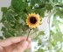 Mini sunflower with stem