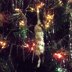 Snow on Icicle Crochet Christmas Ornament