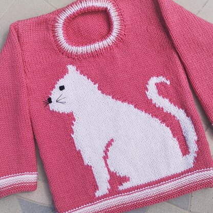 Cats Sweater | Hairless Cat In Sweater-Pink Simple Sweater