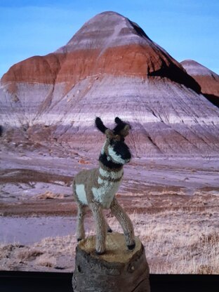 Pronghorn