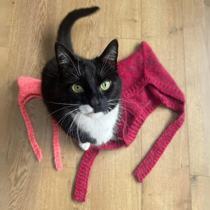 Matching knitted cat hats