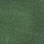 Dotty About Dots - Bottle Green (Bottle Green)