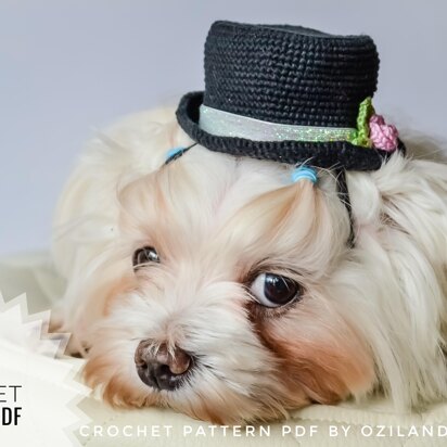 Wedding top hat for dog