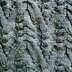 Cable Lace Mountain Turtleneck Scarf