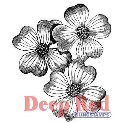 Deep Red Stamps Deep Red Cling Stamp 1.7"X2.1" - Dogwood Flowers