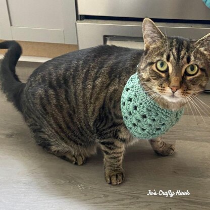 Pet Bandana