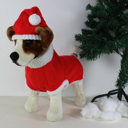 Dog Christmas Santa Hat and Coat