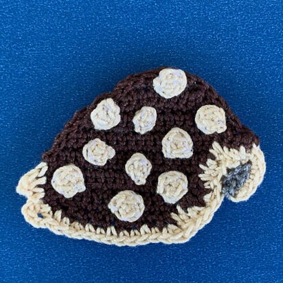 Cowrie Shell