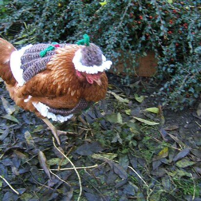 "Christmas Pudding" Chicken Coat With Matching Hat