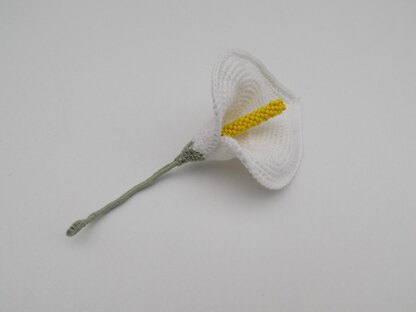 Calla Lily/Arum Lily Flower