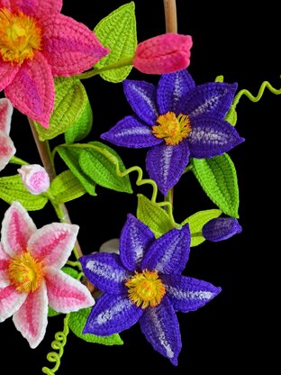 Crochet Clematis flowers