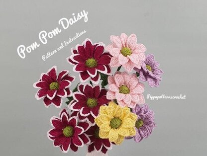 Pom Pom Daisy