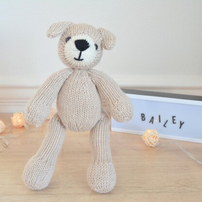 Bailey Dog