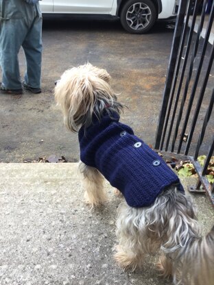 Doggie vest