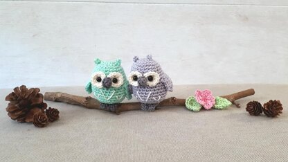 Owls couple on a branch