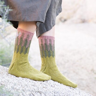 Cereus Socks