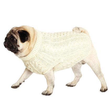 Louis Pup Made Knit Sweater, Paws Circle