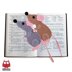 244 Rat or Mouse Decor