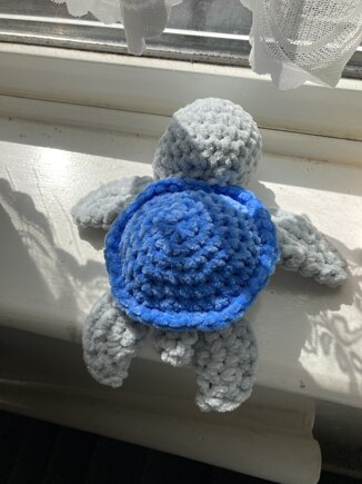 turtle #3