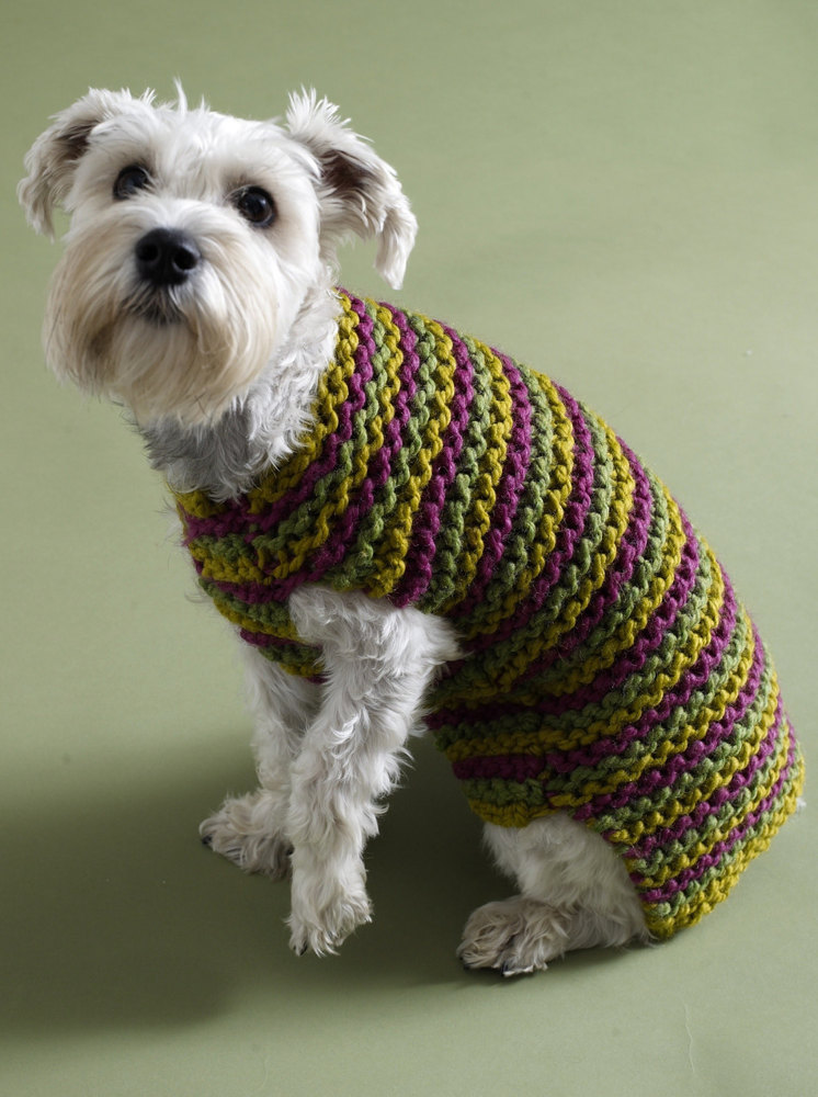 Debbie Bliss Crochet Dog Coat Set PDF at WEBS