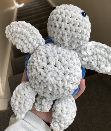 turtle #5