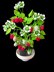 Crochet Raspberry plant