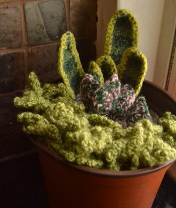 Assorted Crochet Plants