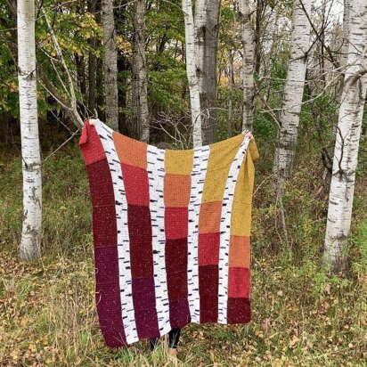 The Birch Blanket