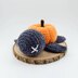 Turtle Halloween