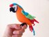 Macaw parrots