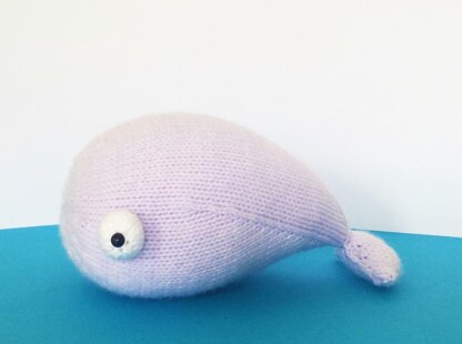 Eyeball Whale