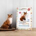 The Crafty Kit Company Fabulous Mr Foxy Needle Felting Kit - 190 x 290 x 94mm