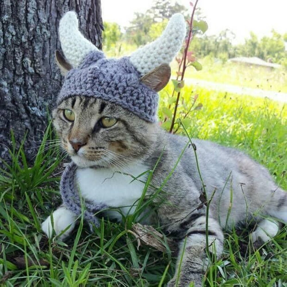 The Viking: Hat for Cats Crochet pattern by iheartneedlework