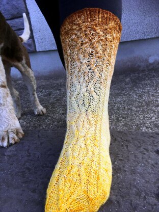 Lúnasa Socks