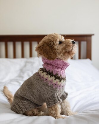 Happy Dog Sweater