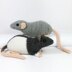 Fancy rats