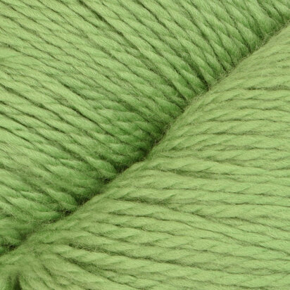 Cascade Yarns Eco +