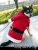 Holiday Hoodie for Dogs